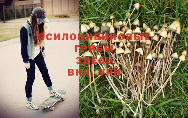 гашик Навашино