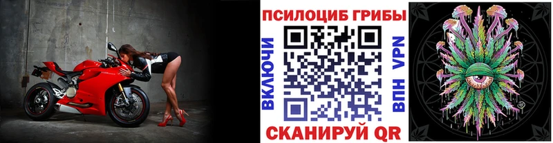 наркошоп Наволоки Псилоцибиновые грибы мухоморы